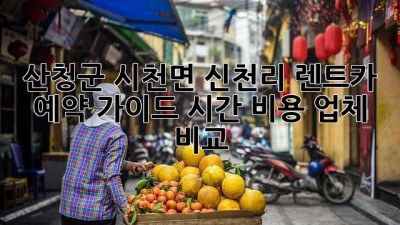 산청군 시천면 신천리 렌트카 예약 가이드: 시간, 비용, 업체 비교