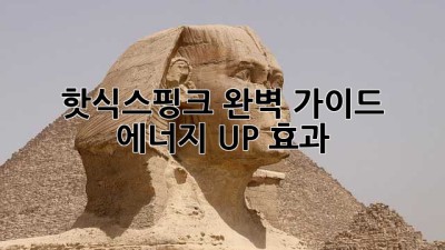 핫식스핑크💖 완벽 가이드: 에너지 UP! 효과 💯