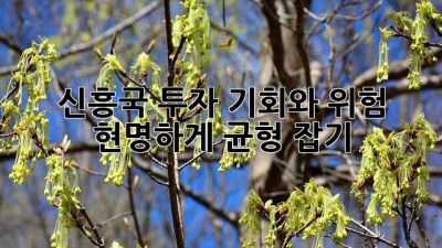 신흥국 투자: 기회와 위험, 현명하게 균형 잡기